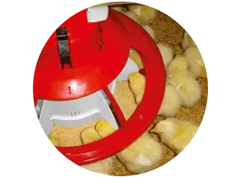 Dhumal Poultry Equipment - Feeder with Cone Extension and 55mm Grill for Broiler Feeding.