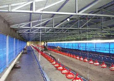 Step-by-step poultry curtain installation with Curtain Winching System, featuring UV stabilized, waterproof poultry curtains for reliable performance in all weather conditions.