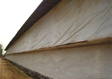 Poultry curtain installation using Curtain Winching System, showcasing the easy-to-use, tear-resistant, and waterproof poultry curtains designed for efficient poultry house ventilation.