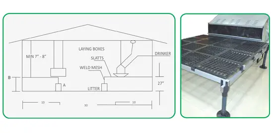 Poultry flooring solution with advanced slatt design for optimal hygiene and manure removal, offering a durable, easy-to-clean surface for poultry housing.