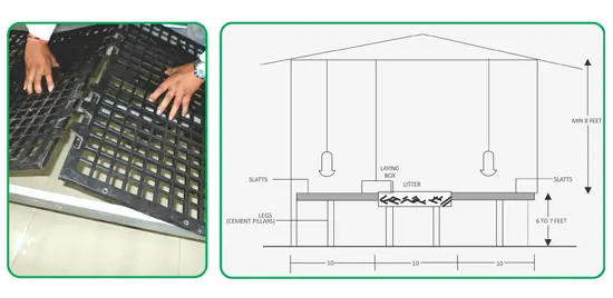Cost-effective poultry flooring with slatt system, designed for ventilation, durability, and efficient poultry manure removal in broiler and breeder farms