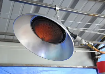 Infraconic Gas Brooder model with advanced features.