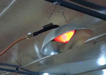 Infraconic Gas Brooder with enhanced heat distribution for birds.