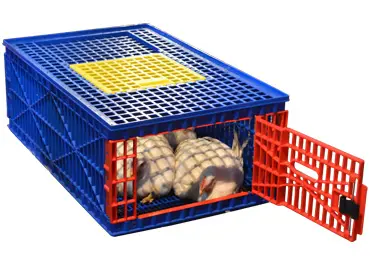 Poultry Transport Crate with Large Top Opening for Easy Bird Access and Ventilation