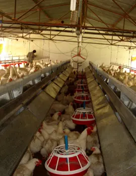 semiautomatic winchable lines